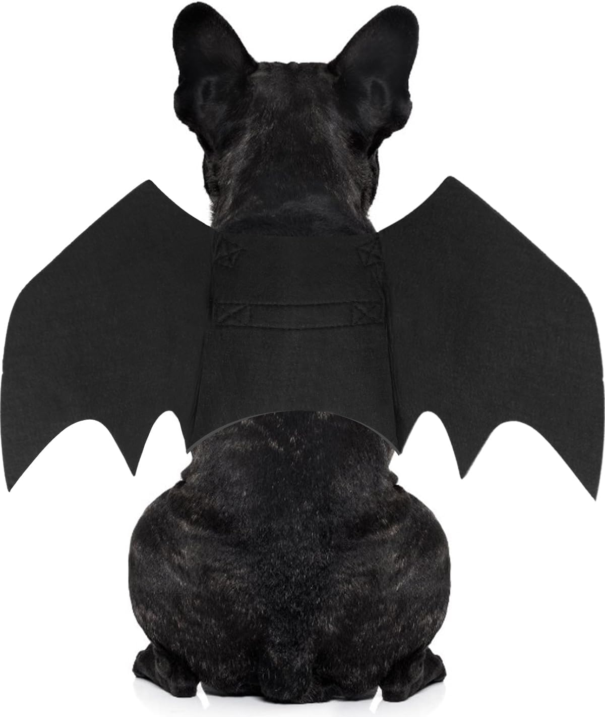 Disfraz de Halloween para perro pequeño, alas de murciélago de perro con campana de calabaza para mascotas, disfraz de fiesta de cosplay de