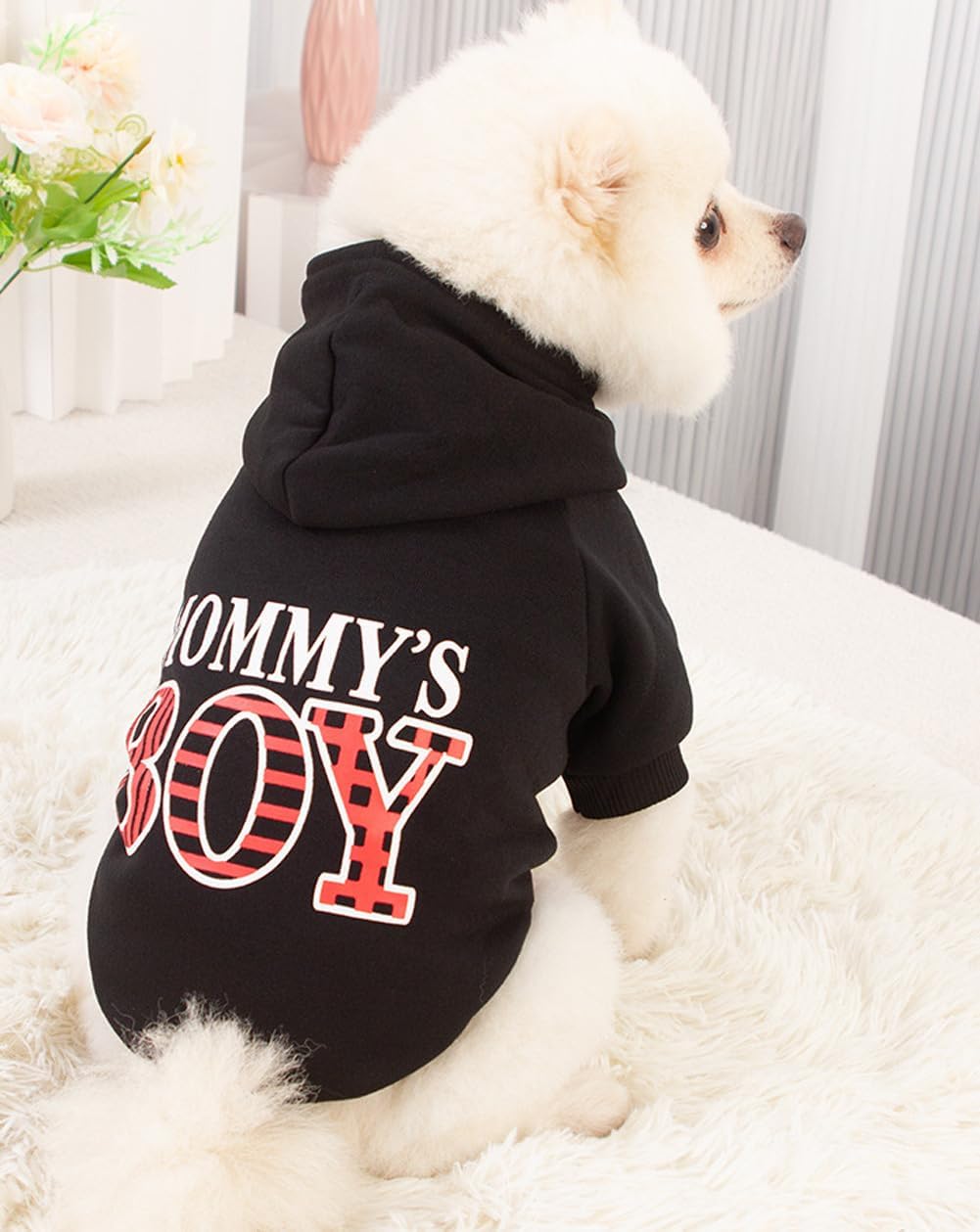 Elledia – Sudadera con capucha para perro de invierno con gorro y gorro de algodón para mascotas, ropa de chihuahua, ropa de peluche