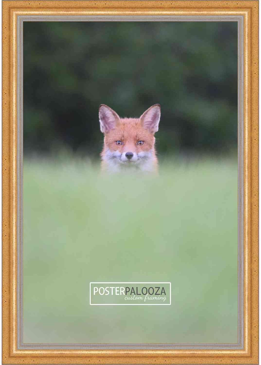 Poster Palooza 11×16 Traditional Gold Complete Wood Picture Frame with UV Acrylic Plexiglass, Foam Board Backing & Hardware Included