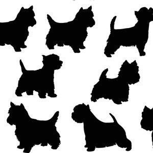 Pet Dog Westie Silhouette – Paquete de 13 calcomanías lindas para parachoques de automóvil, calcomanía para interruptor de luz, calcomanía de pared, Pet Dog Westie Silhouette – Paquete de 13 calcomanías lindas para parachoques de automóvil, calcomanía para interruptor de luz, calcomanía de pared,