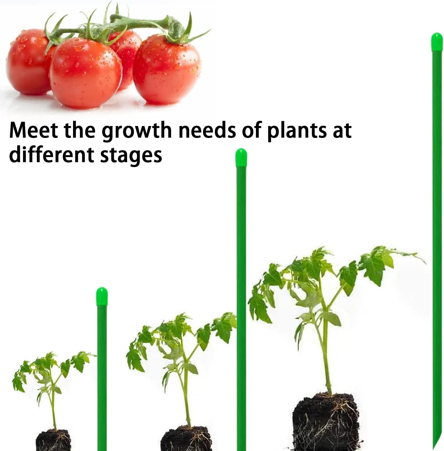 Estacas de jardín de fibra de vidrio de 5 pies, estacas de tomate, estacas para plantas (paquete de 30), satisface las necesidades de crecimiento de
