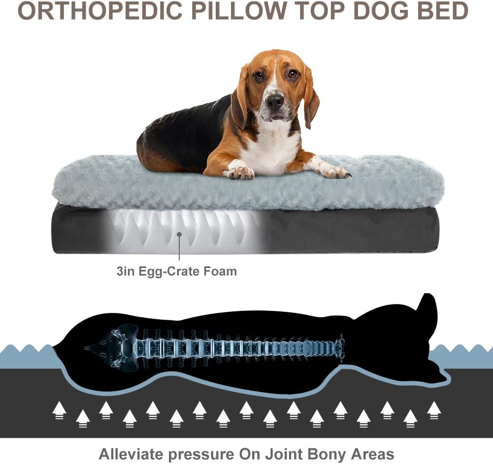 CBBPET Cama ortopédica para perros pequeños y medianos con soporte de espuma de huevo de felpa, cama para perro súper suave lavable, parte superior
