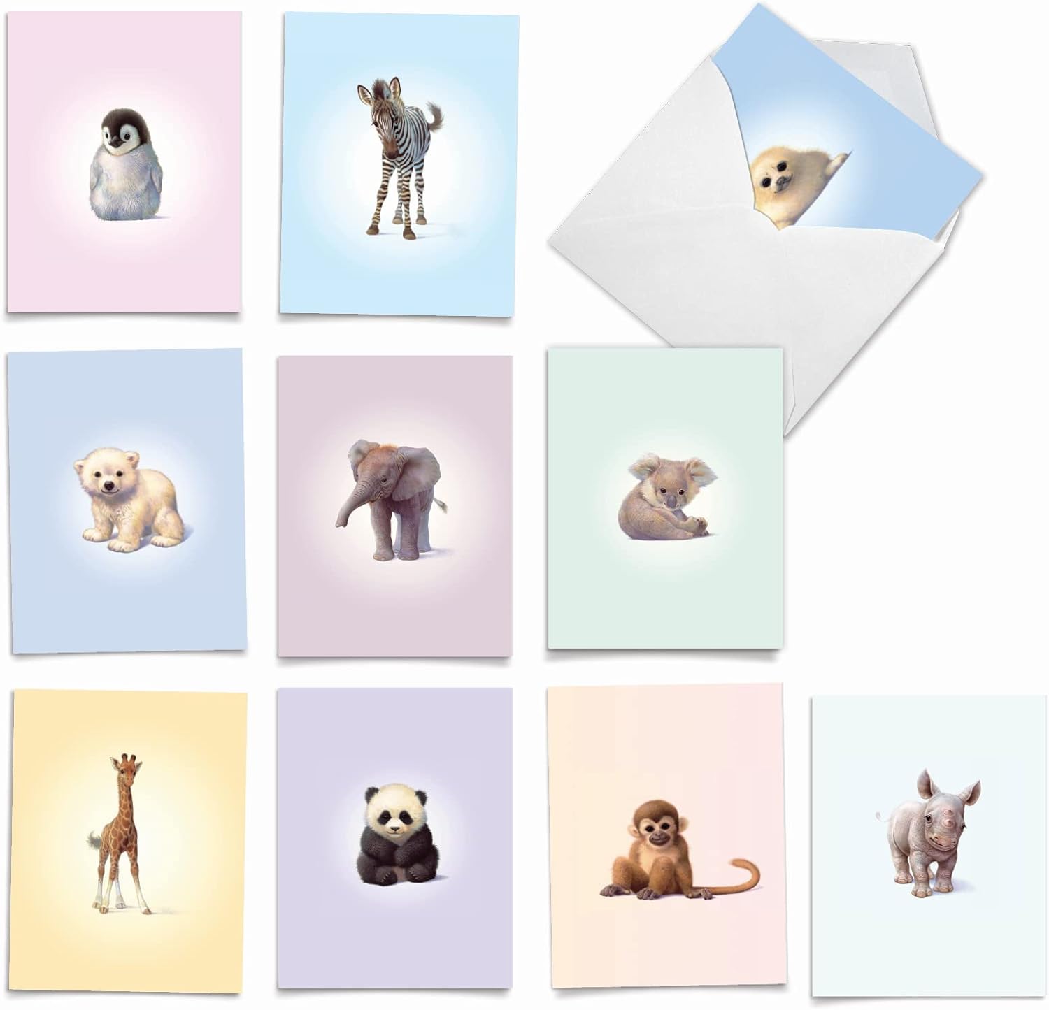 The Best Card Company, Zoo Babies – 10 tarjetas de agradecimiento en caja (4 x 5.12 pulgadas) – Animal Baby Thank Yous con sobres M6726TYG