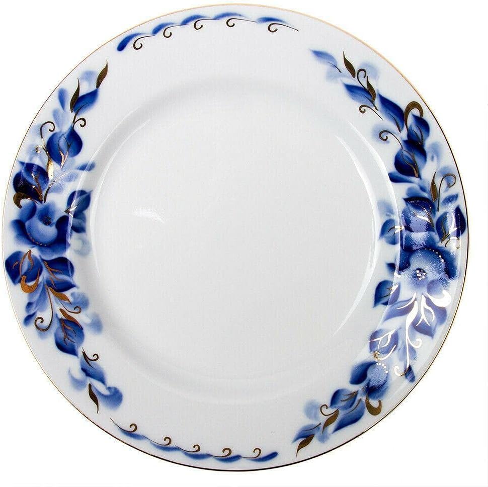 NJSV – Platos de porcelana de 9.4 pulgadas, juego de 6 platos de vajilla, juegos de platos y cuencos, juego de platos, platos llanos, juego de