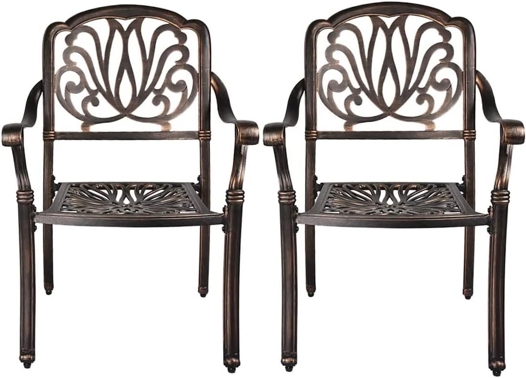 LEISU Silla de comedor de aluminio fundido de 2 piezas, sillas de bistró para el hogar, patio, jardín, terraza (2 sillas)