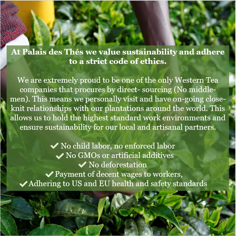 Palais des Thés – Té negro orgánico de desintoxicación india para digestión con cúrcuma, albahaca sagrada y limón – Lata de regalo de metal de hoja