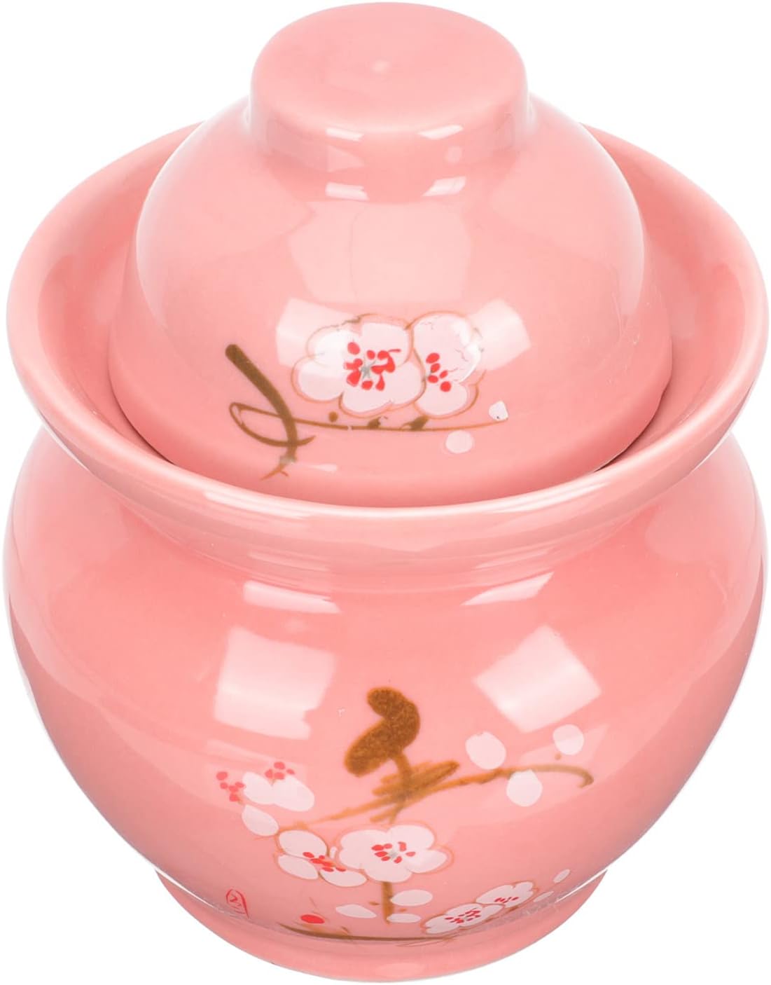 Operitacx Tarro de cerámica para pepinillos de terrario, frasco sellado, recipiente de fermentación tradicional chino con tapa de sellado de agua,