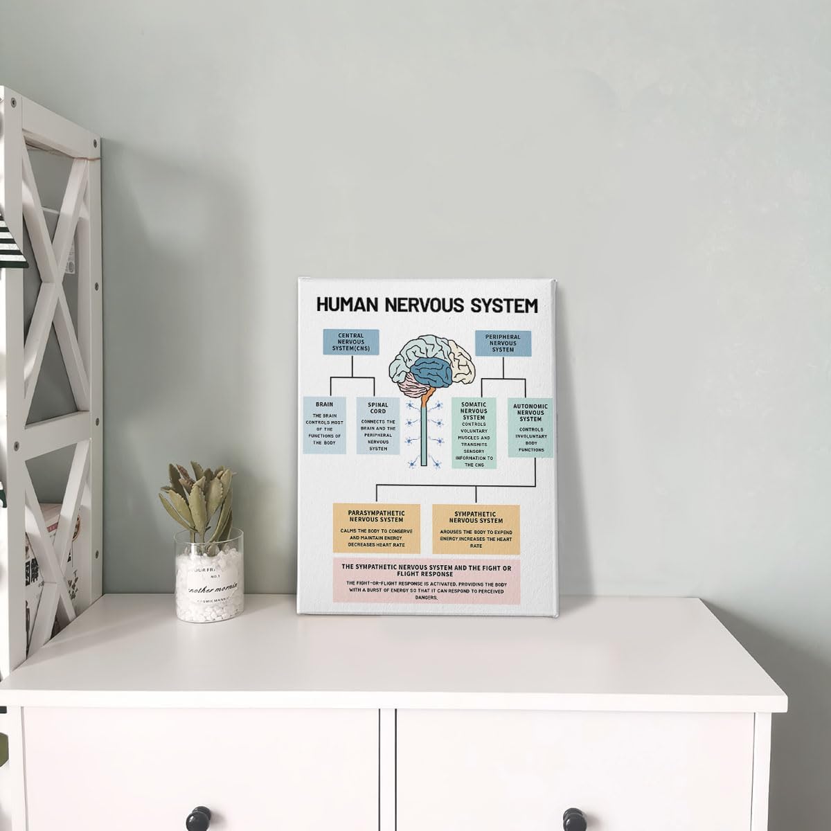 PHAMTE Póster de pared para la salud mental del sistema nervioso humano, anatomía cerebral y psicología, lienzo enmarcado para decoración de oficina