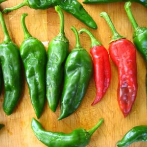Chimayo Nuevo México Chile Posole Pepper Premium Paquete de Semillas Chimayo Nuevo México Chile Posole Pepper Premium Paquete de Semillas