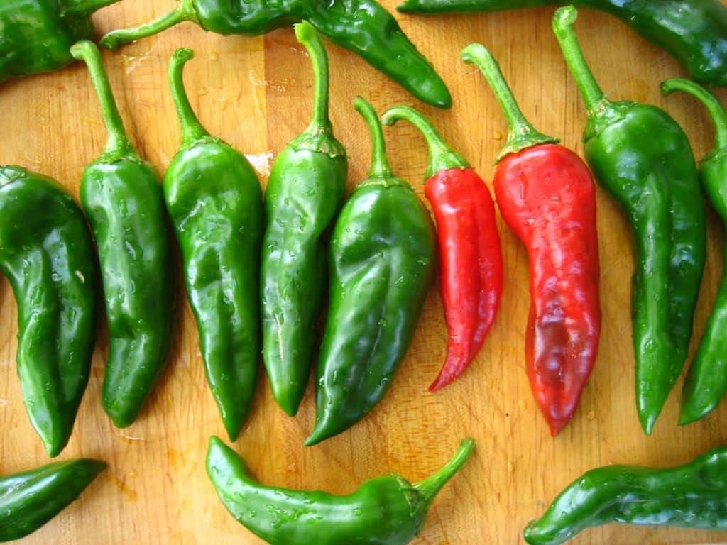 Chimayo Nuevo México Chile Posole Pepper Premium Paquete de Semillas