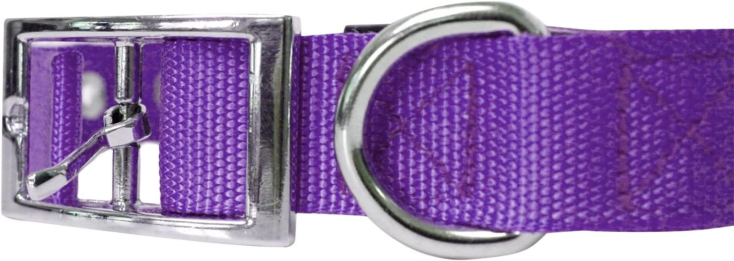 Collar para perros deluxe ajustable, grueso, (azul, rojo, negro, morado, rosa, pequeño, mediano, grande o extragrande) de Downtown Pet Supply,