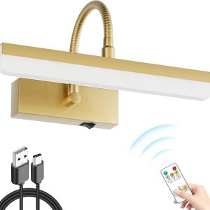 Ralbay Luz de imagen dorada, luz LED de pintura dorada con control remoto, tubo de luz giratorio con 3 modos de iluminación, luz de visualización Ralbay Luz de imagen dorada, luz LED de pintura dorada con control remoto, tubo de luz giratorio con 3 modos de iluminación, luz de visualización