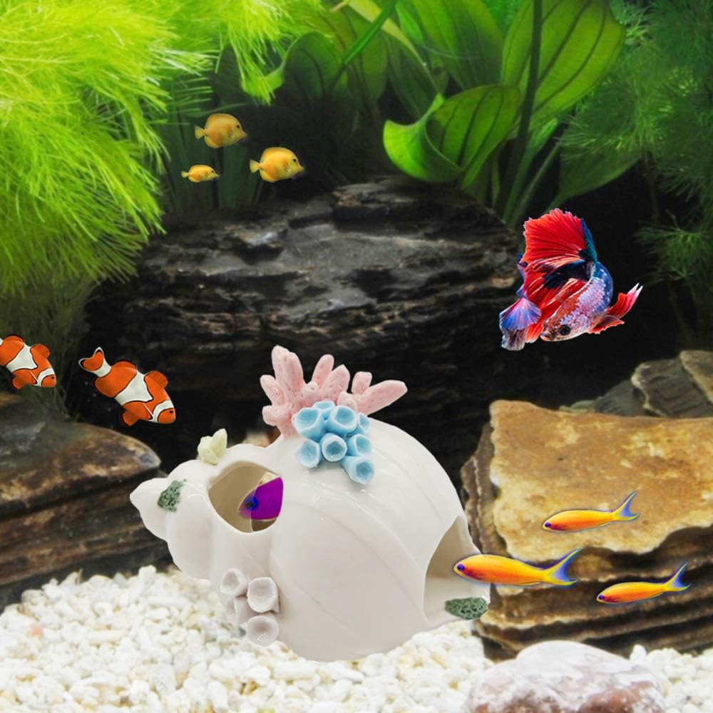 Decoración de acuario con tres agujeros para pasar u ocultar de forma segura, caracola de cerámica blanca con tres agujeros para peces Betta para
