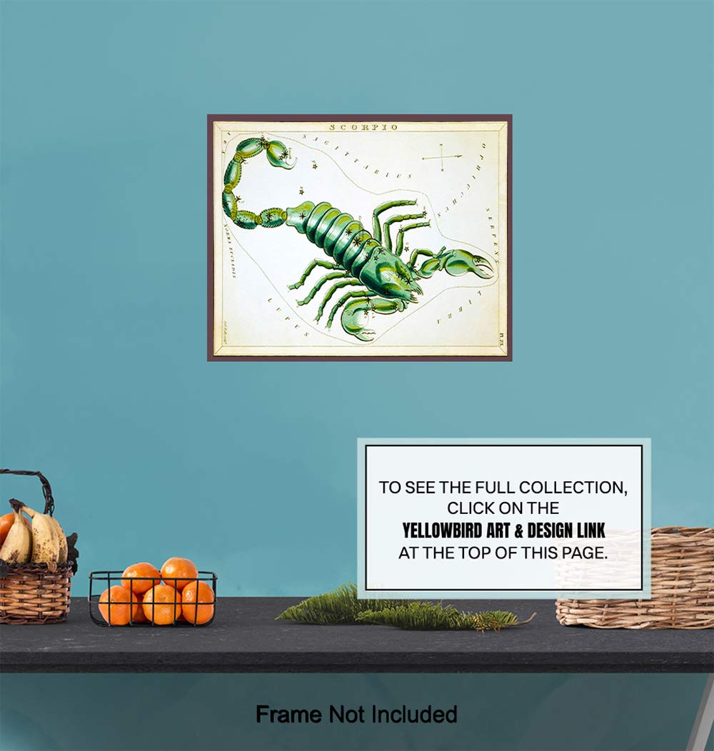 Vintage Scorpio Astrological Zodiac Chart – Great Gift and Chic Home Decor – Stars – Ready to Frame (8×10) Photo