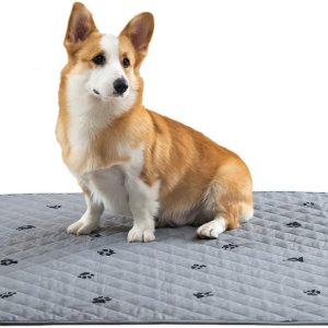 KANECH Almohadillas lavables para orina de perros, 48 x 48 pulgadas (paquete de 2), antideslizantes, de gran absorción, reutilizables, para KANECH Almohadillas lavables para orina de perros, 48 x 48 pulgadas (paquete de 2), antideslizantes, de gran absorción, reutilizables, para