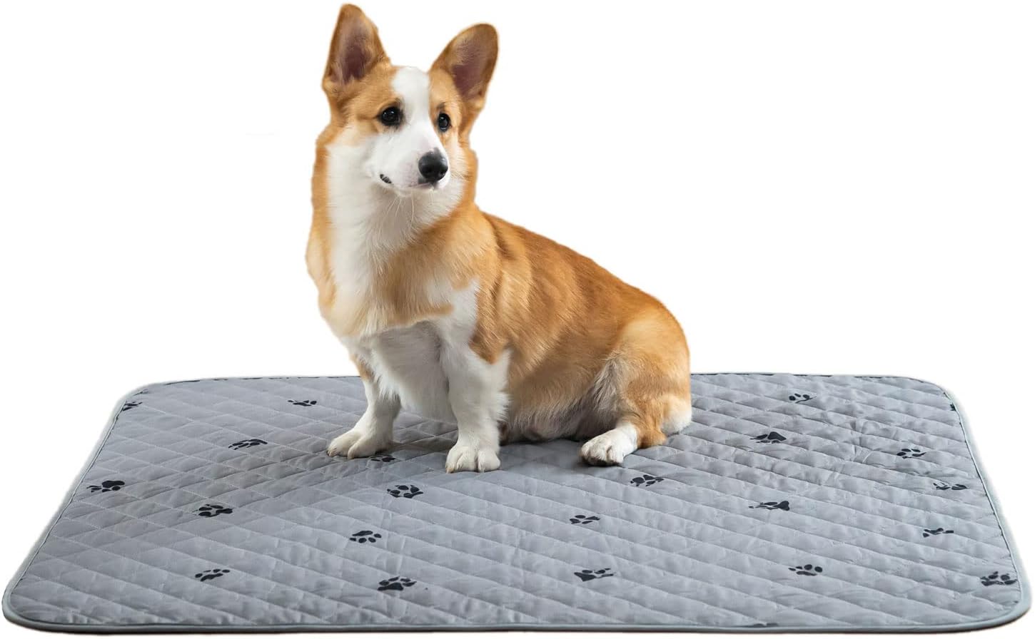 KANECH Almohadillas lavables para orina de perros, 48 x 48 pulgadas (paquete de 2), antideslizantes, de gran absorción, reutilizables, para