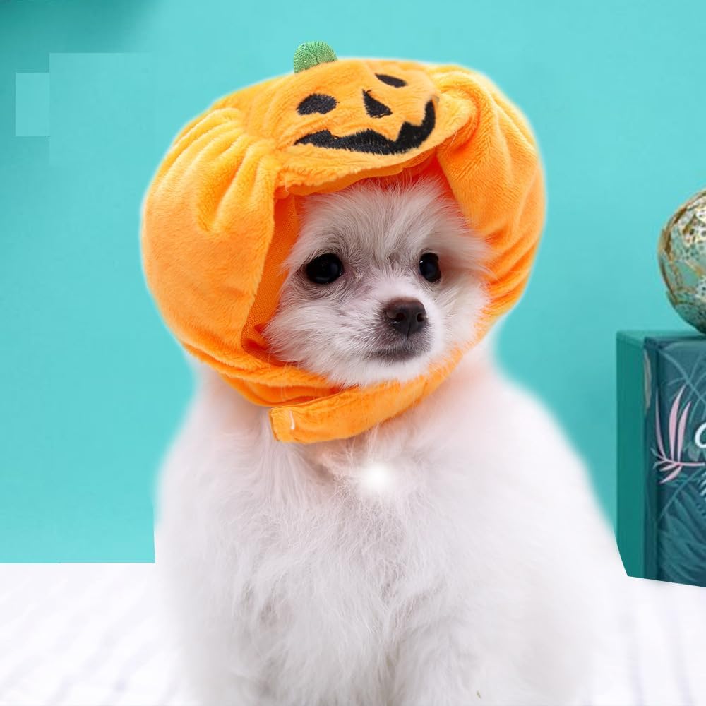 Sombrero de Halloween para gato, sombrero de Halloween para perro, gorra de calabaza, fiesta de cachorro, disfraz de truco, calabaza de Halloween,
