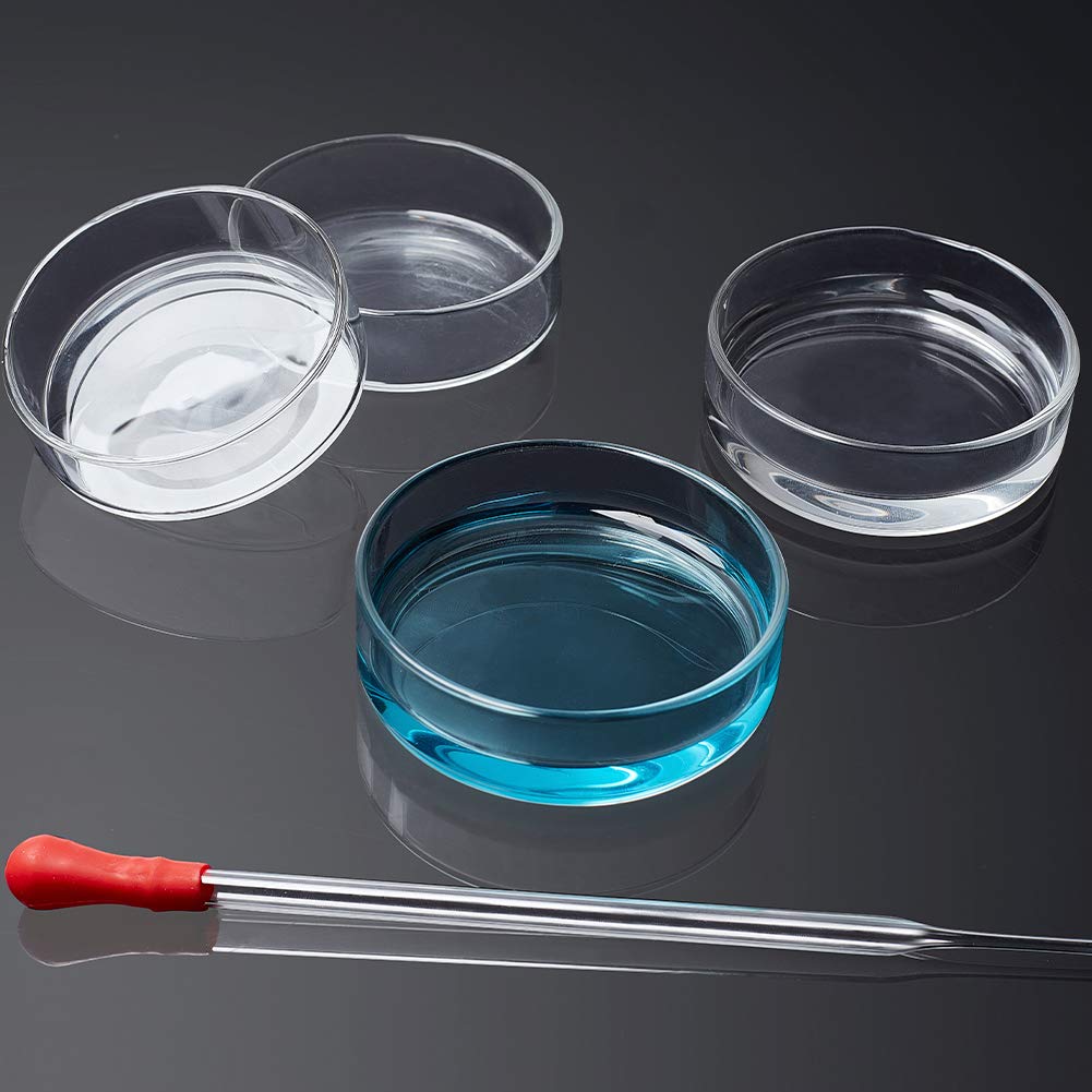 OLYCRAFT Platos de vidrio Petri de vidrio de borosilicato de alto vidrio de borosilicato con tapa de 2.362 in de diámetro x 0.709 in de profundidad