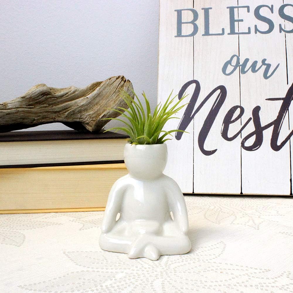 Maceta de cerámica blanca de 3.25 pulgadas con forma de persona con planta de aire Tillandsia viva, plantas de aire de interior en maceta para