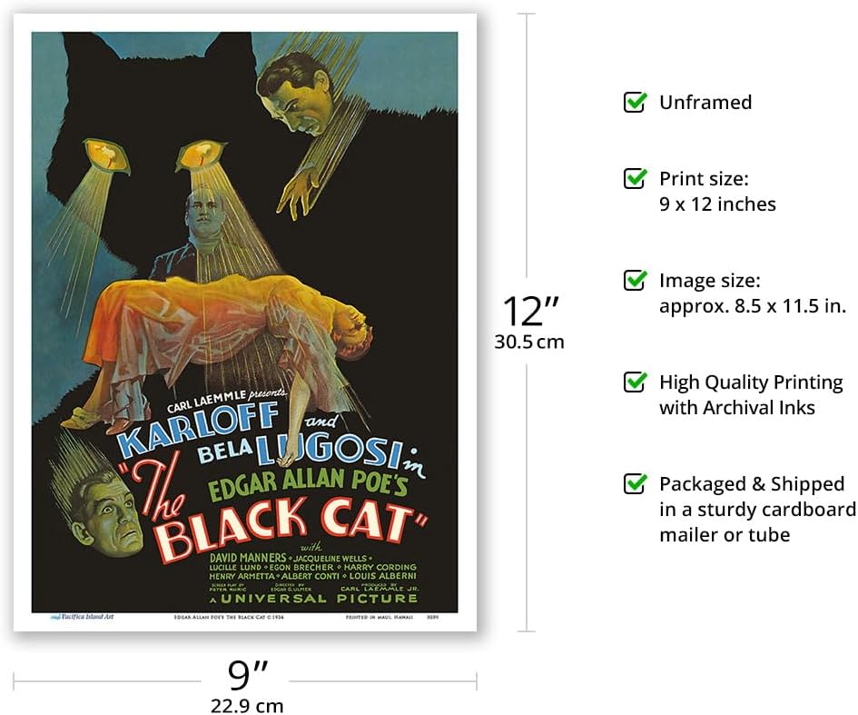 El gato negro de Edgar Allan Poe – Protagonizada por Boris Karloff, Bela Lugosi – Póster de película vintage c.1934 – Impresión artística maestra de