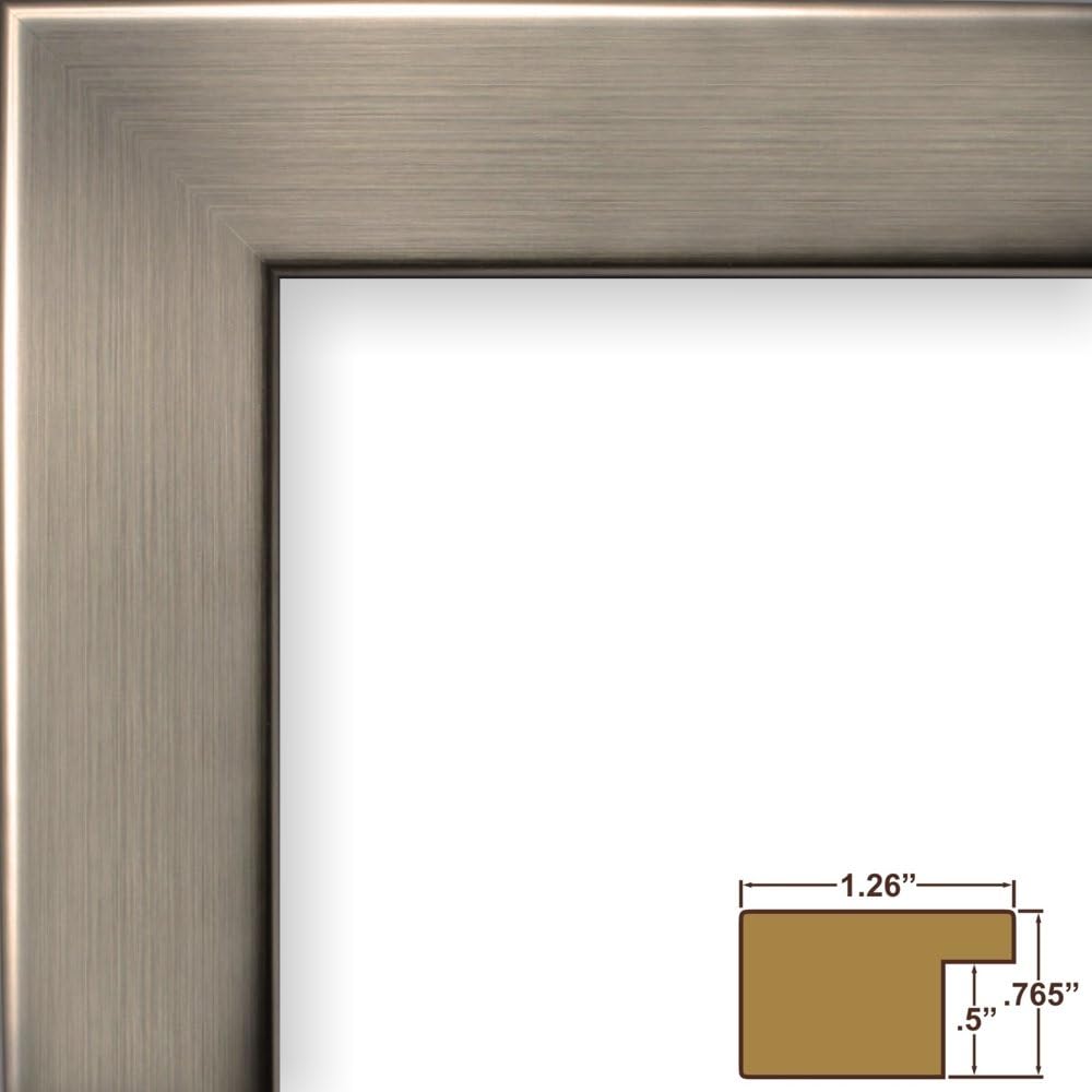 Marco para pinturas, acabado suave, 1.25 pulgadas de ancho, de Craig Frames, Especialidad, Plateado, 18 x 24