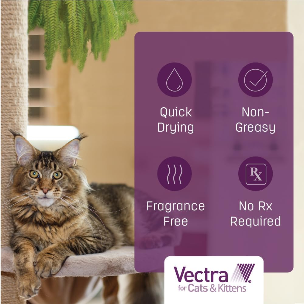 Vectra Bronceado para gatos y gatitos 2-9 libras 6 dosis