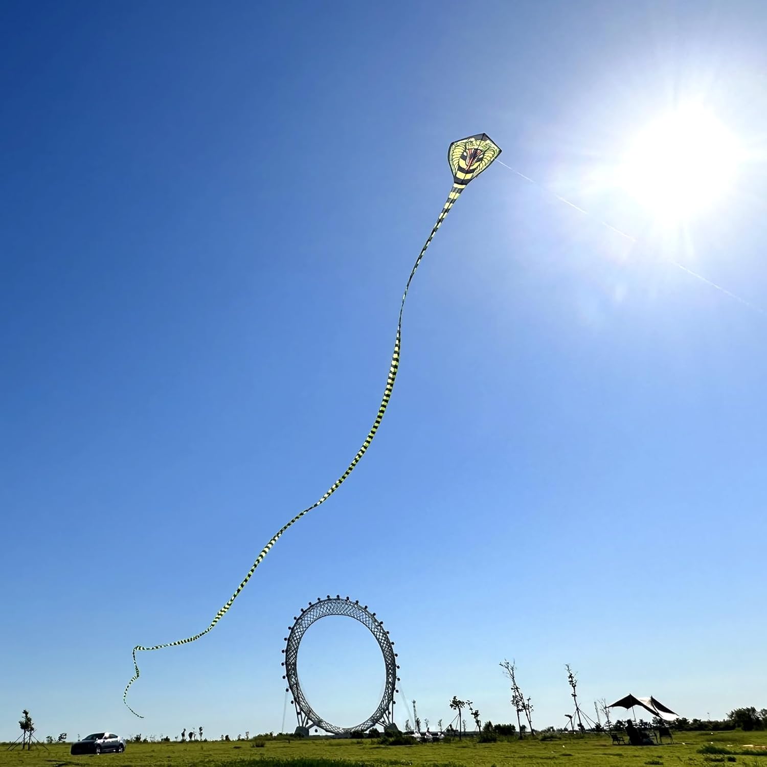 Large Cobra Kite for Adults Kids Boys with Super Long Tail, Extra Easy to Fly, Best Huge Kites for The BeachKite PartyFieldPark, It Will Dominate