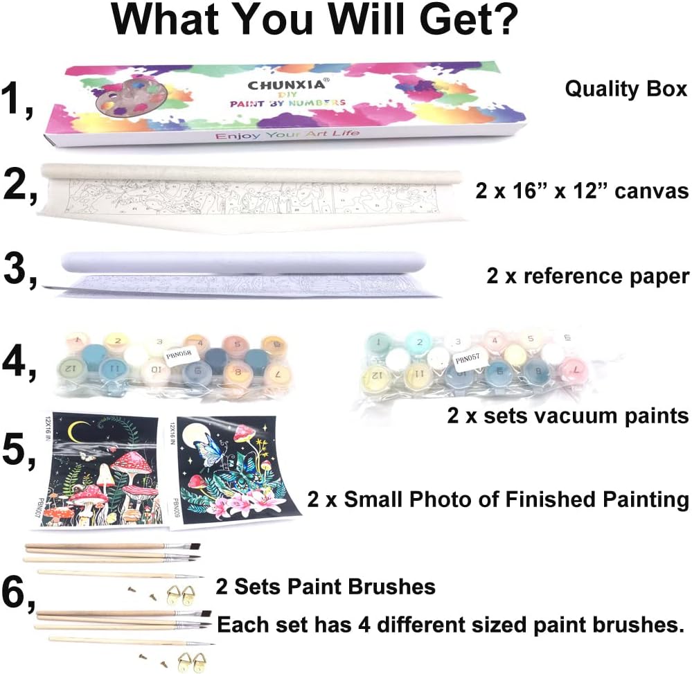 CHUNXIA Pintura por números para adultos, principiantes y niños, paquete de 2 lienzos enrollados de arte de pared, kit de pintura fácil por números,