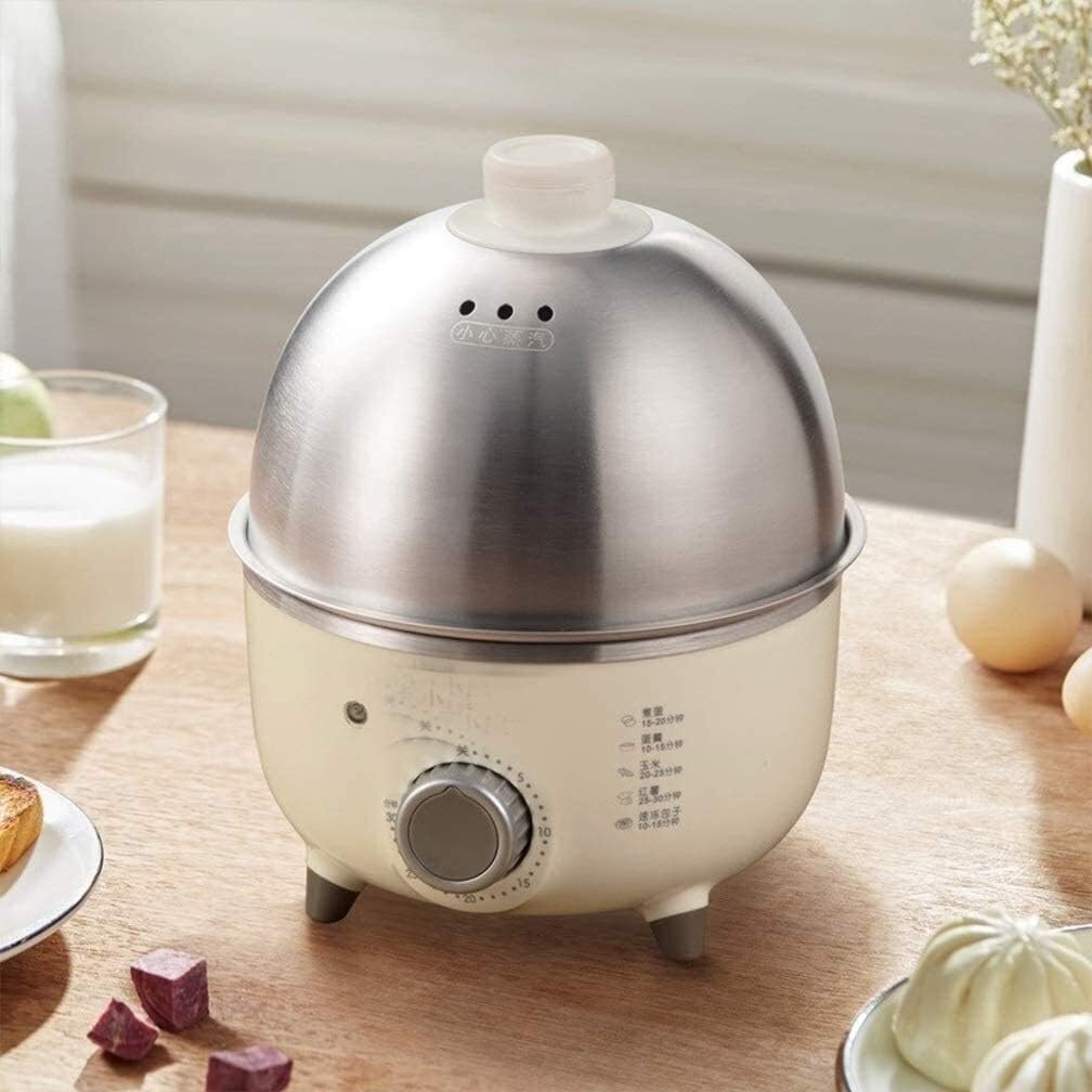 Raxinbang Caldera de huevos de 220 V, mini caldera eléctrica de vapor para huevos domésticos, acero inoxidable, olla automática para cocinar al