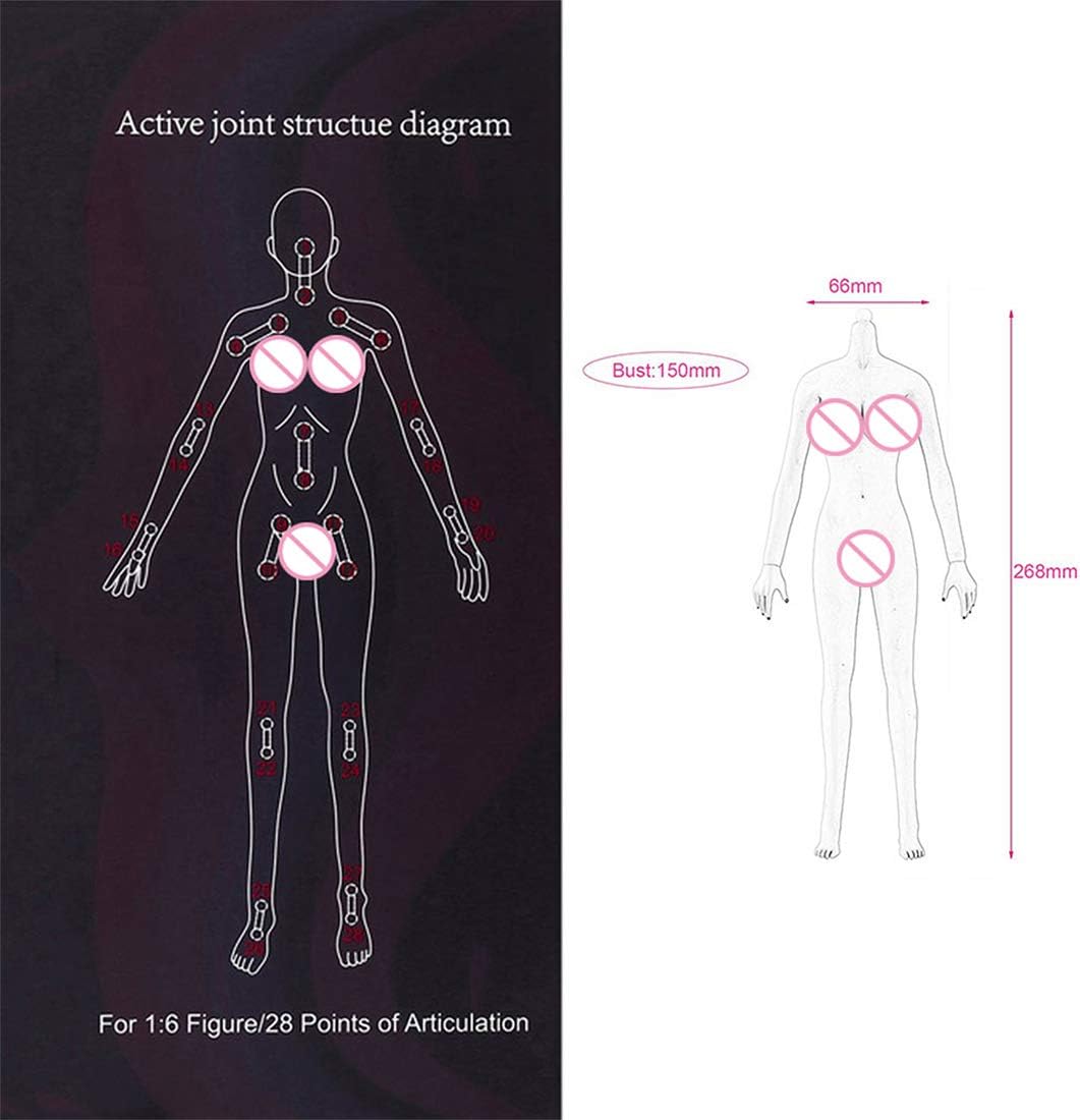 Lingxuinfo Figura de acción de soldado de 16 tentadora personalizada, modelo de 14 articulaciones móviles con figura de cabeza con Cheongsam de