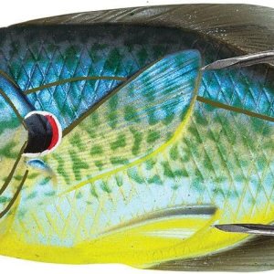 Señuelo de pesca LiveTarget con forma de pez luna y cuerpo hueco para superficie anzuelo #40, Multi, 3″ Señuelo de pesca LiveTarget con forma de pez luna y cuerpo hueco para superficie anzuelo #40, Multi, 3″