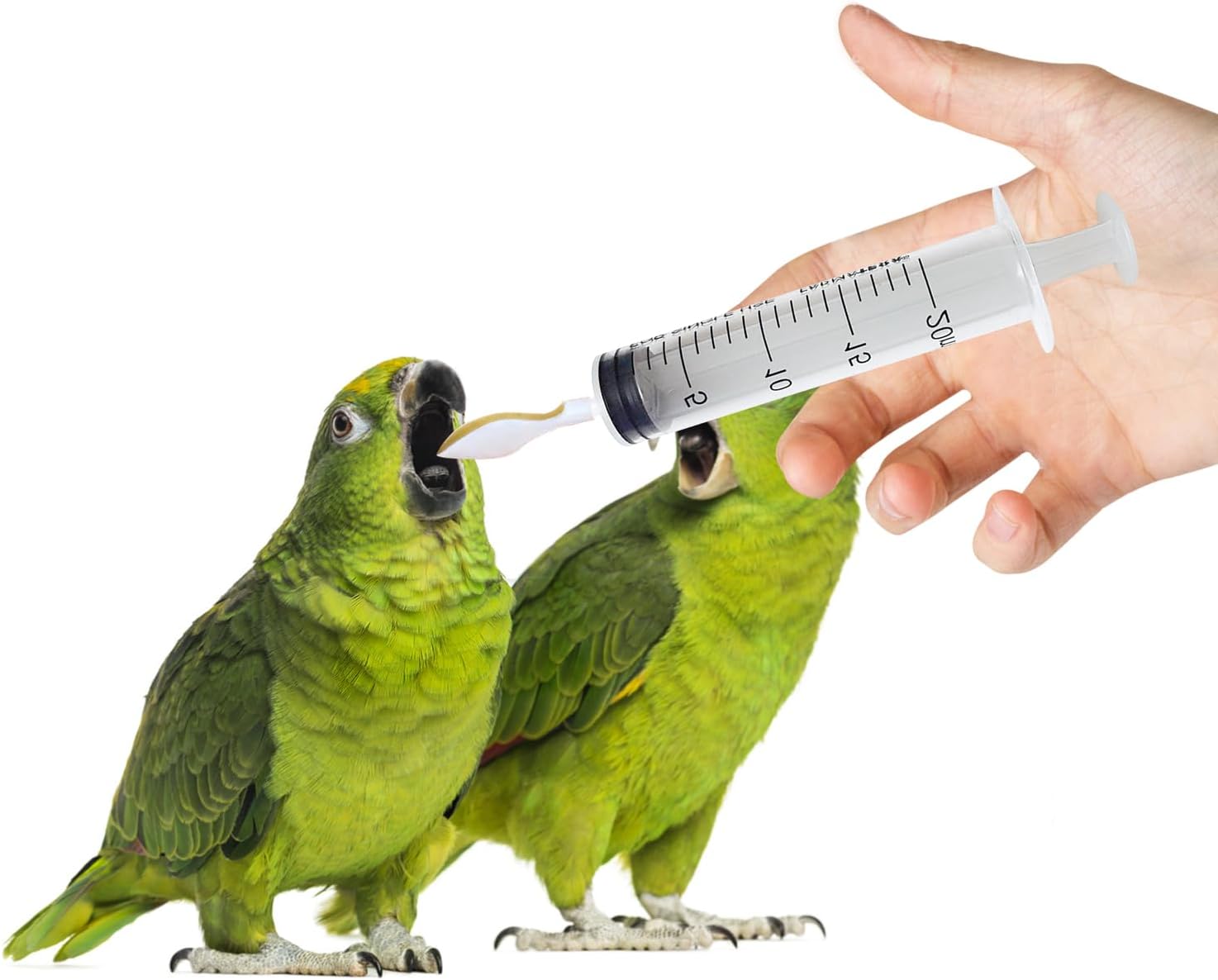 4 jeringas de alimentación para pájaros con 2 jeringas de 0.7 fl oz, 2 jeringas de 2.1 onzas líquidas y 4 cucharas de alimentación suaves,