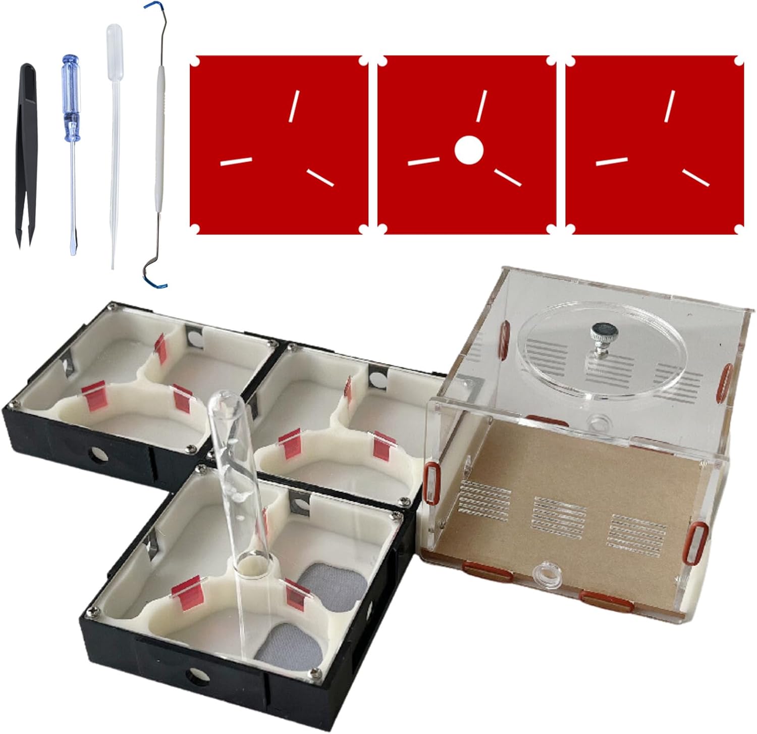 Ant Farm Nest Science Kit de terrario DIY Cuidado para hormigas vivas Hábitat de hormigas con torre de agua para criar habitación y observación