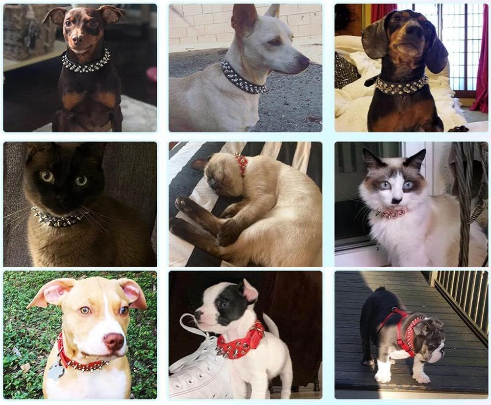 Collar para perro con pinchos, remache de hongos con tachuelas, ajustable de piel sintética para mascotas, para gatos, cachorros y perros (S,