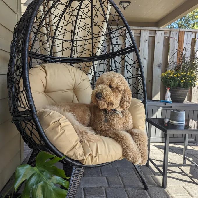 YITAHOME Silla de huevos de mimbre para interiores y exteriores, tumbona grande de gran tamaño con cojín de soporte, silla de cesta de huevos de