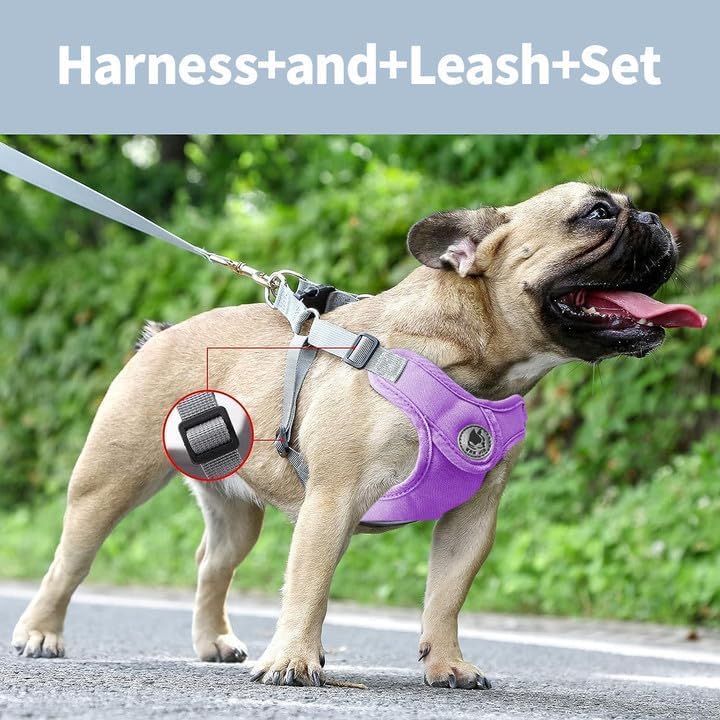 Arnés para perro con correa, arnés sin tirones para mascota con 1 clips para correa, chaleco acolchado suave ajustable para perros pequeños y