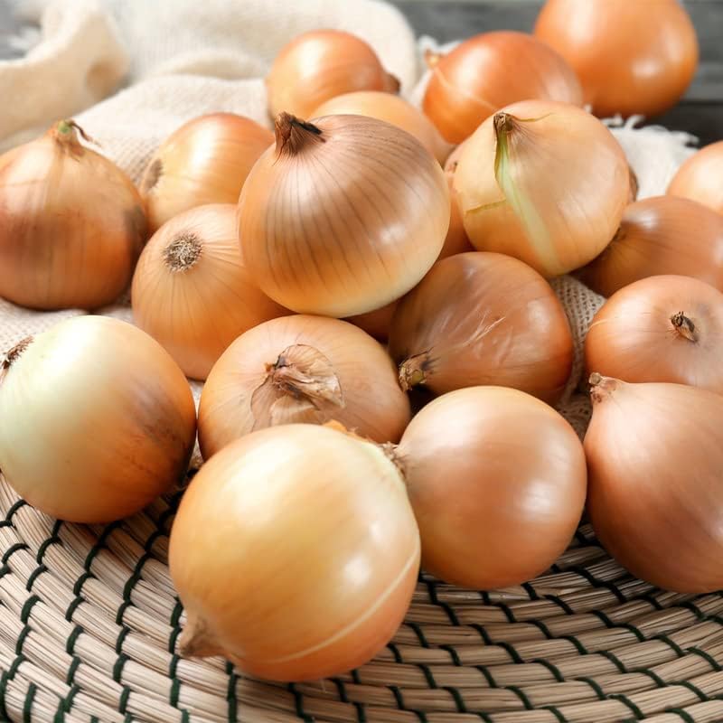 Onion-Texas Early Grano 502 (250 semillas)