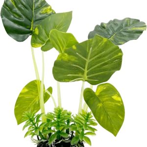 Plantas de acuario, decoraciones de pecera, plantas artificiales de plástico, peces dorados, paisaje acuático, cuerosdescanso (hoja) Plantas de acuario, decoraciones de pecera, plantas artificiales de plástico, peces dorados, paisaje acuático, cuerosdescanso (hoja)