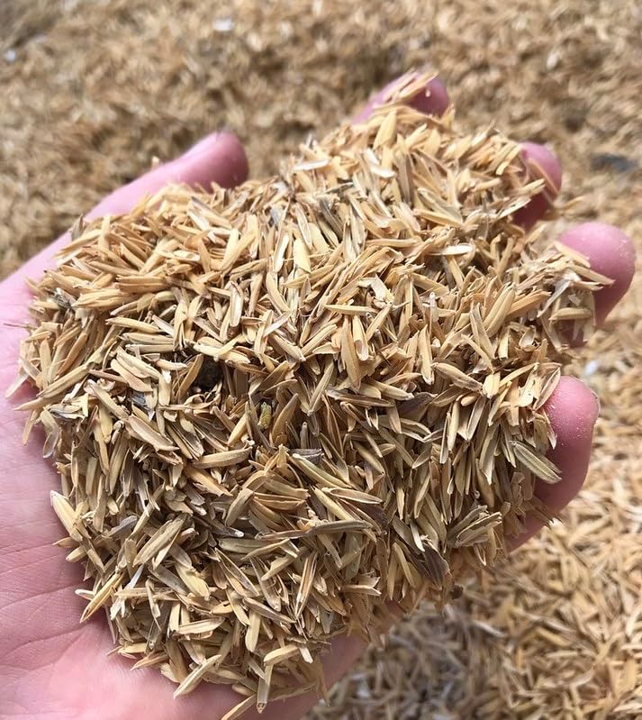 Cascos de arroz prémium de Gardenera – Crea plantas saludables y resistentes a través de una aireación y drenaje mejorados, 20 cuartos de galón