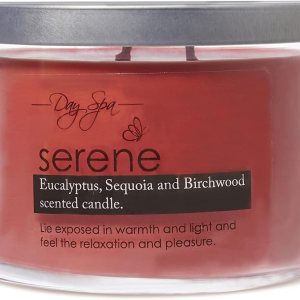 A Cheerful Giver Day Spa – Vela perfumada Serene, vela de soja de 11 onzas con 55 horas de tiempo de combustión, regalo de cumpleaños para mujeres A Cheerful Giver Day Spa – Vela perfumada Serene, vela de soja de 11 onzas con 55 horas de tiempo de combustión, regalo de cumpleaños para mujeres