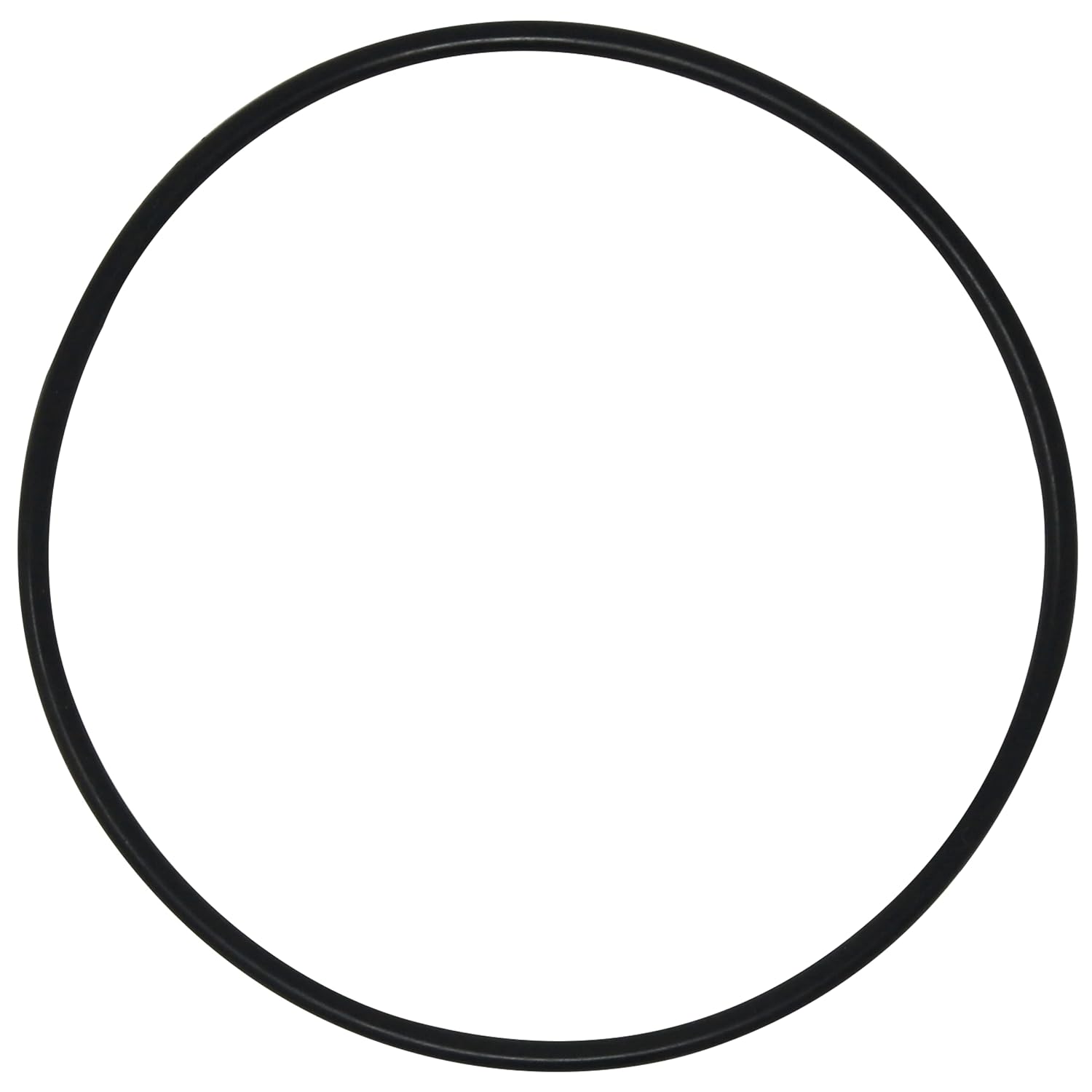 Junta tórica compatible con Pentek 151122 para filtros de agua azul grande y más (paquete de 1)