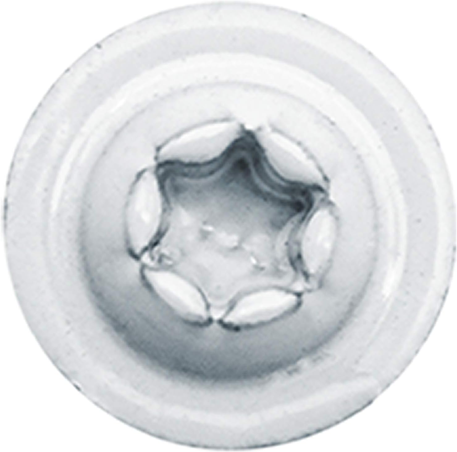 #8 x 2-12″ Cabeza de armadura blanca modificada con revestimiento exterior de estrella de bronce  Tornillo de madera de gabinete Torxcabeza de