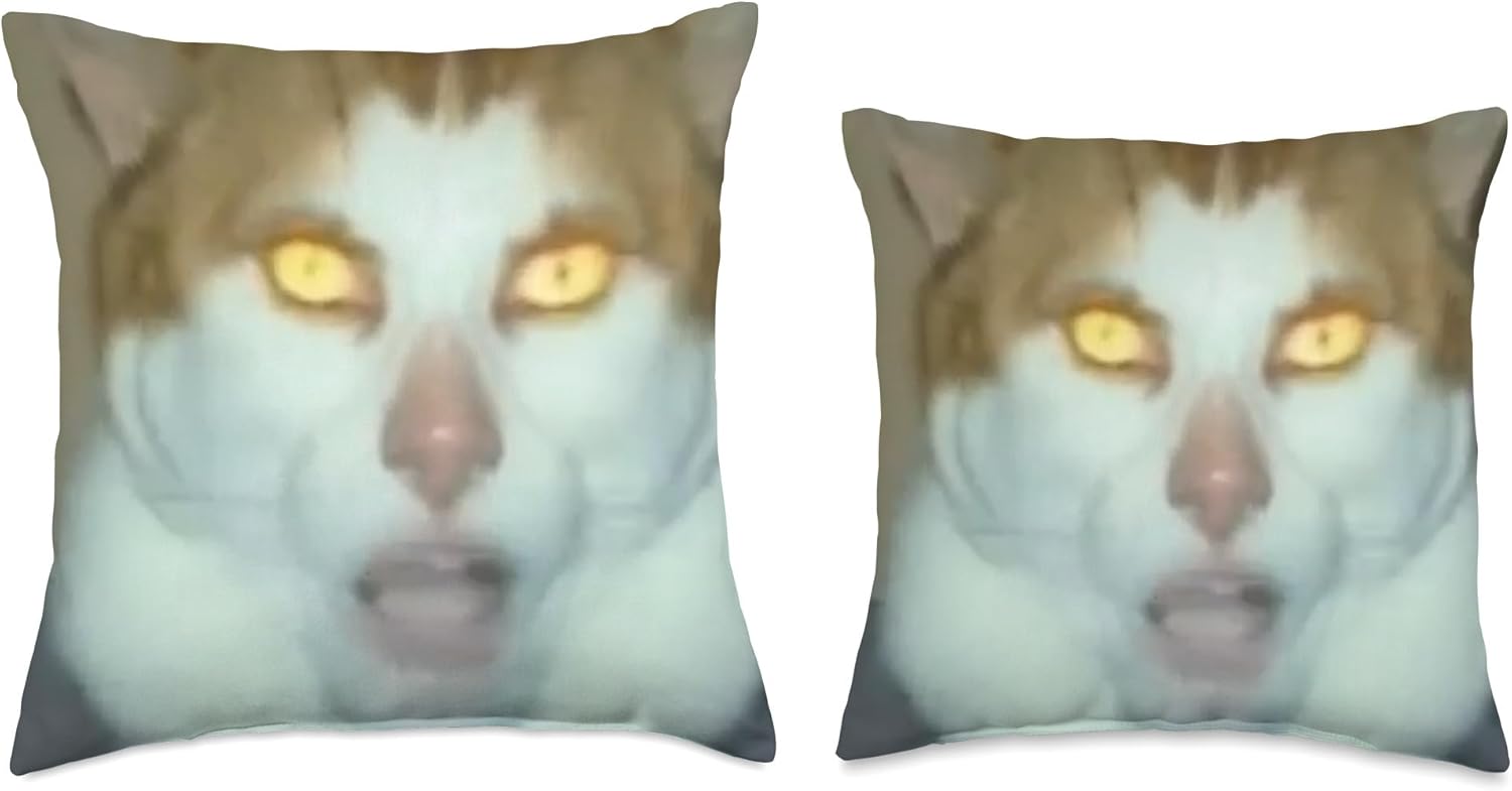 Monday Left Me Broken Cat – Almohada (16 x 16 pulgadas), multicolor