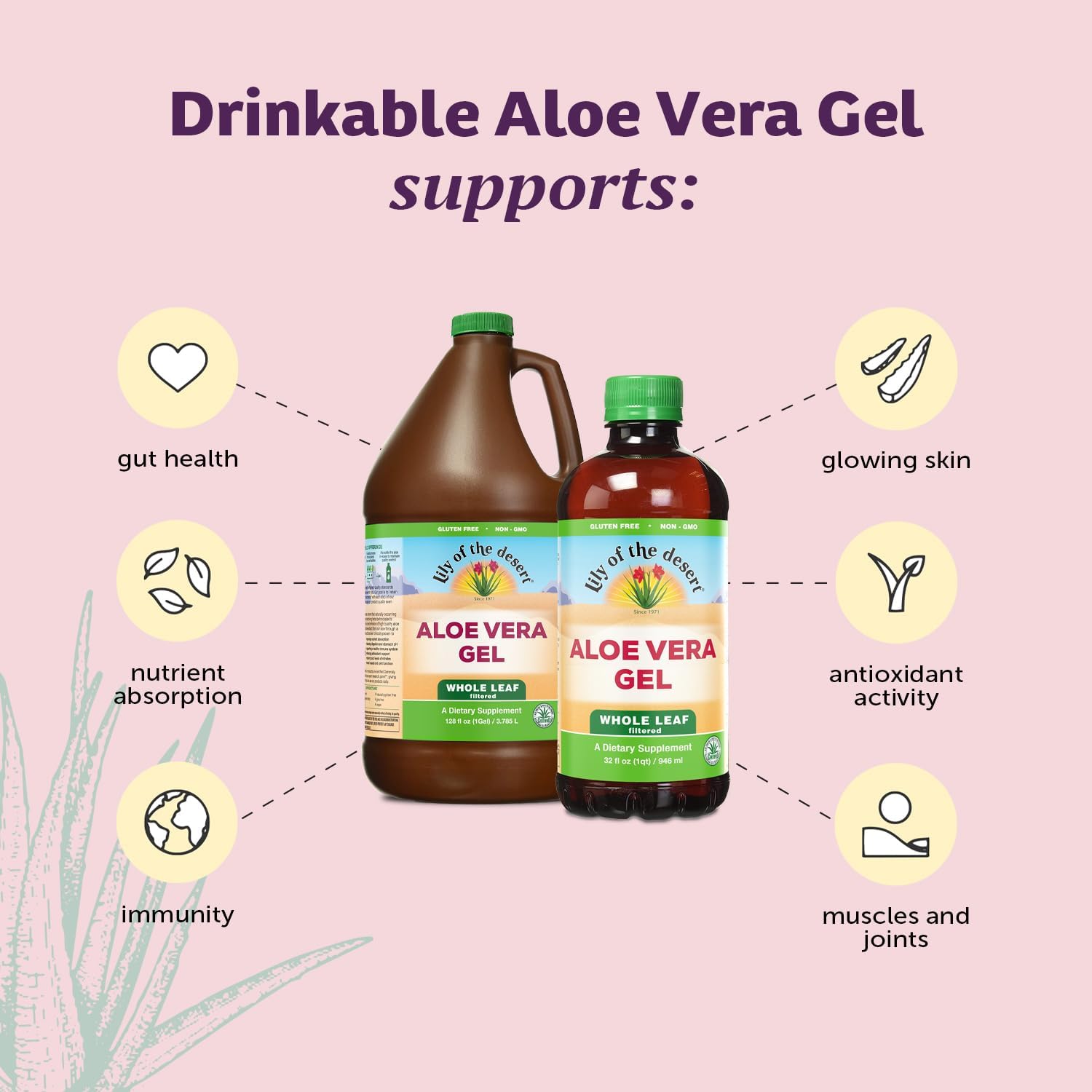 Lily Of The Desert Gel de aloe vera, sin conservantes, bebida de aloe vera de consistencia más gruesa filtrada de hoja entera con vitaminas