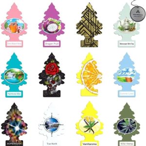 Little Trees – Paquete variado de 12 ambientadores  12 aromas raros diferentes de ambientadores  Ambientador de coche para el hogar, camiones, RV, Little Trees – Paquete variado de 12 ambientadores  12 aromas raros diferentes de ambientadores  Ambientador de coche para el hogar, camiones, RV,