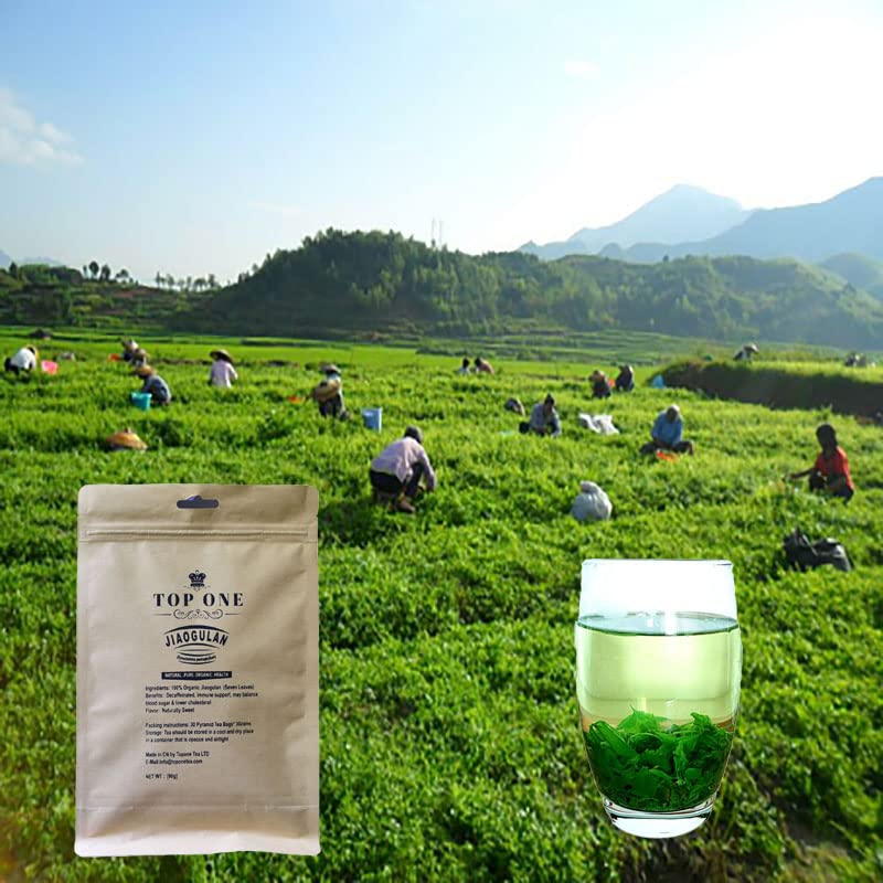 JQ Jiaogulan Té de hierbas de hojas sueltas Té de gynostemma saludable Natural Dulce Sin Cafeína Sin Cafeína, 30 Bolsas de Pirámide