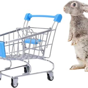 Juguete de conejo Conejito Mini carrito de la compra Pequeño Animal Supermercado Carrito de mano erizos Loro Pájaro Gatos Ratones Cerdos holandeses Juguete de conejo Conejito Mini carrito de la compra Pequeño Animal Supermercado Carrito de mano erizos Loro Pájaro Gatos Ratones Cerdos holandeses