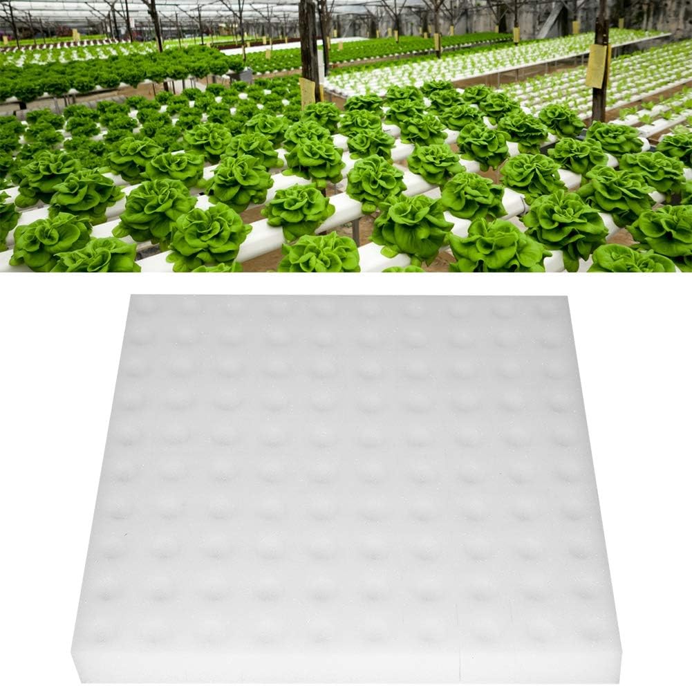 100 cubos de esponja para hidroponía, herramienta de plantación de esponja hidropónica, esponjas cuadradas, insertos clonadores de espuma para