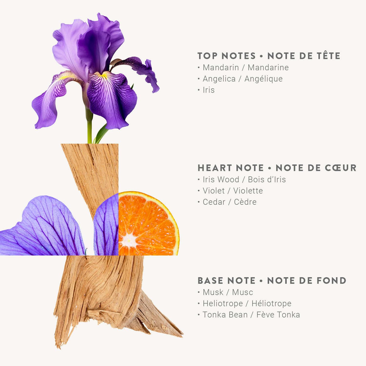 Panier des Sens Nuevo Blooming Iris Eau de Toilette – Perfume ligero para mujer  Fragancia floral natural  Cabello y cuerpo  Regalo para mujeres