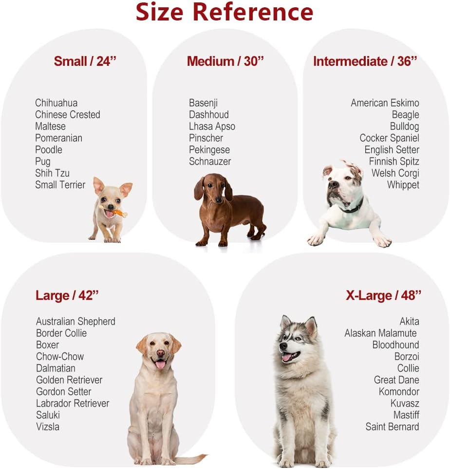 Jaula resistente para perros de metal verde fuerte con ruedas bloqueables y bandeja para perros pequeños de interior, 26 x 17 x 22 pulgadas